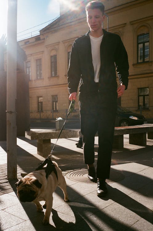 Free Man Holding Dog Leash Stock Photo