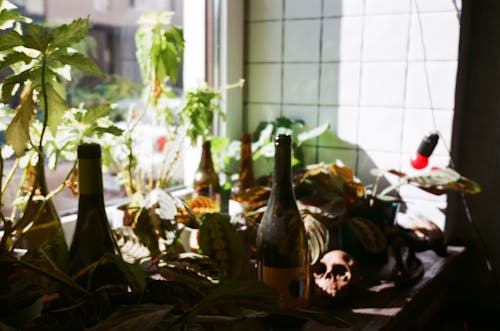 Brown Bottle on Table