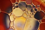 Water Bubbles