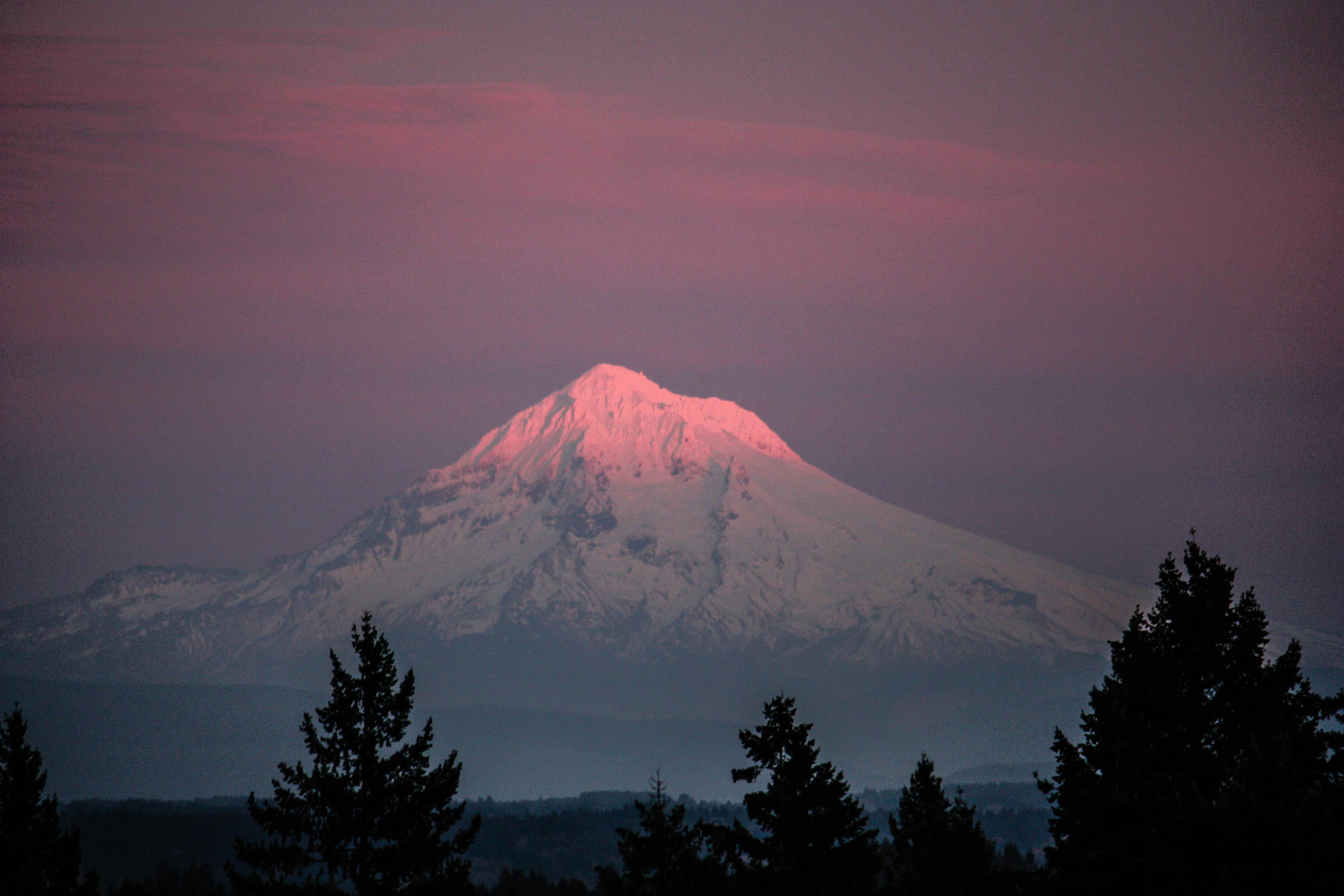 Free stock photo of forest, mountain, oregon