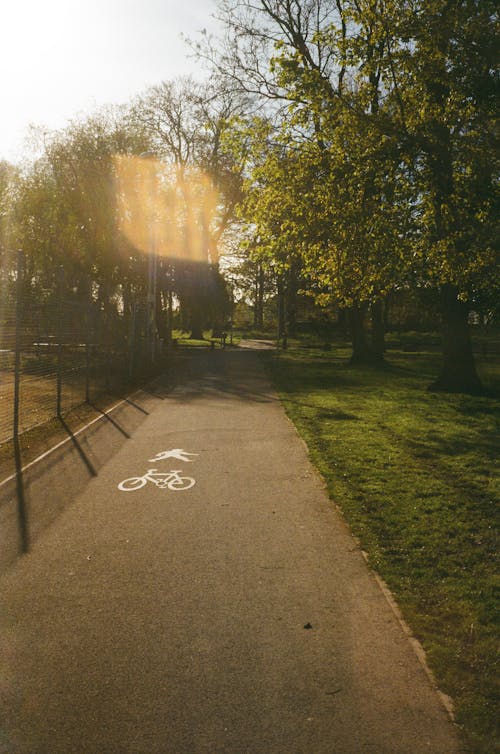 A bike path in a park with a sun shining on it