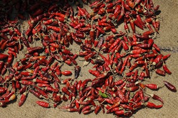Cooking with Zhang Wei