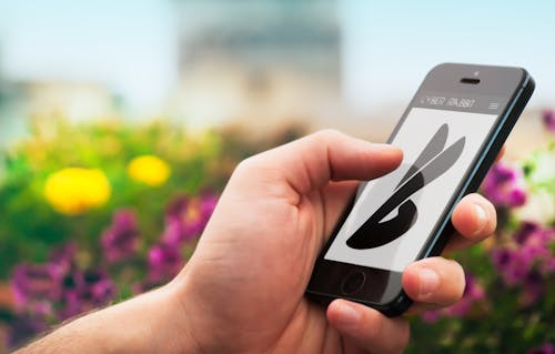 Selective Focus Photography of Person Holding Black Iphone 5 Near Purple Flowers