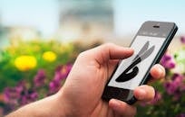 特写镜头中，一只手拿着智能手机，屏幕显示一个标志，背景是模糊的花卉