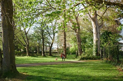 Free A woman strolls with her dog on a sunny day in a vibrant green park. Stock Photo