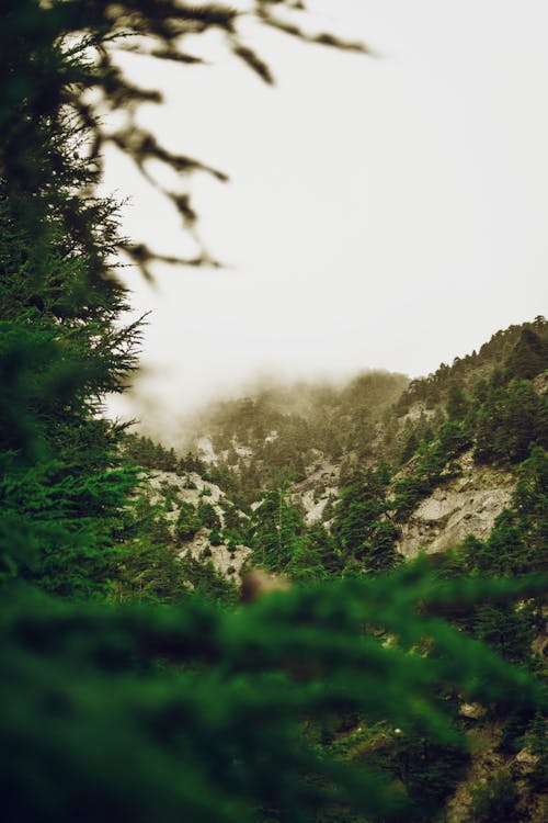 Gratis lagerfoto af bjerg, dagslys, grøn Lagerfoto