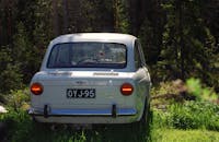 在郁郁葱葱的绿色户外环境中，经典菲亚特850汽车展示了其永恒的设计