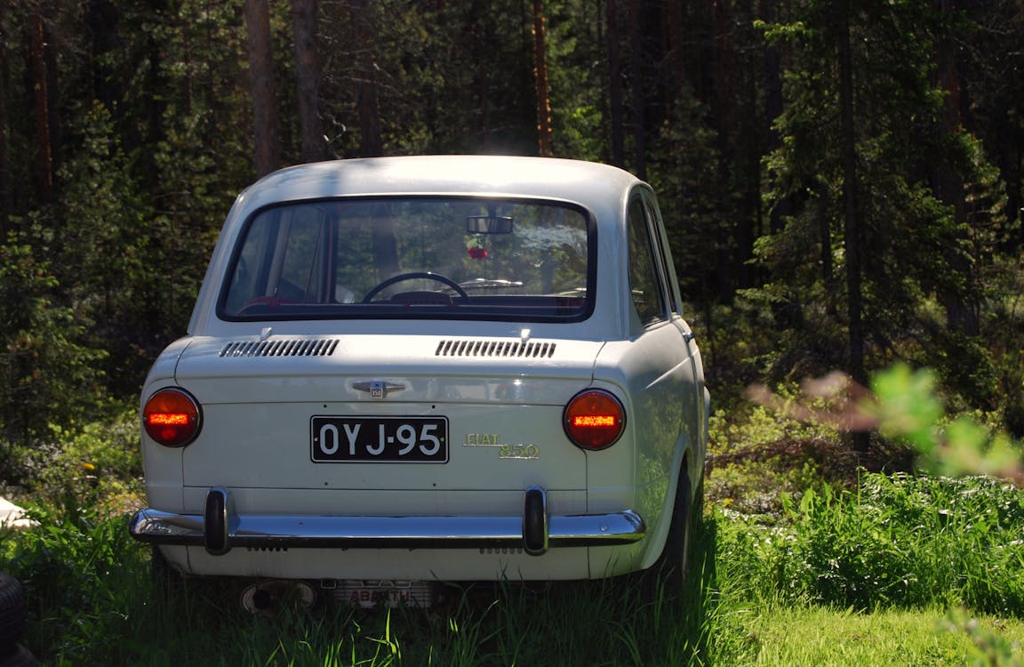 бесплатная Серая машина припаркована в лесу Стоковое фото
