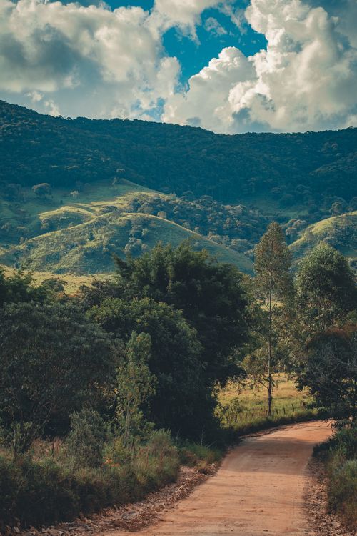 Free Explore a tranquil mountain landscape with lush greenery and a winding dirt path under a clear sky. Stock Photo