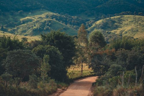 Free Explore the tranquil beauty of rolling green hills and a winding dirt road in this vibrant landscape photo. Stock Photo