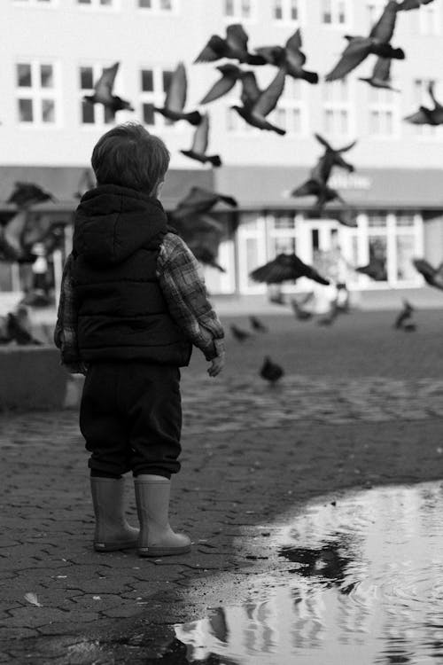The boy follows the pigeons