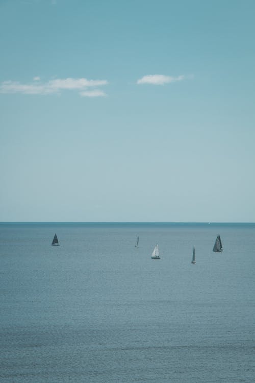 Sailboats in the ocean