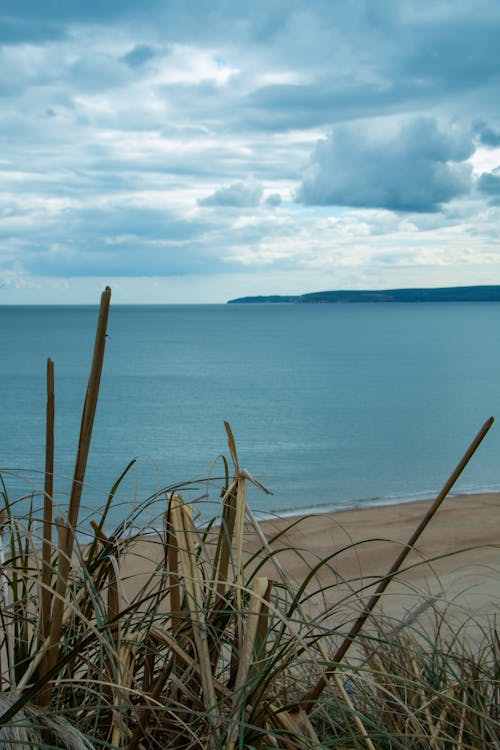 A view of the beach and ocean from a grassy area