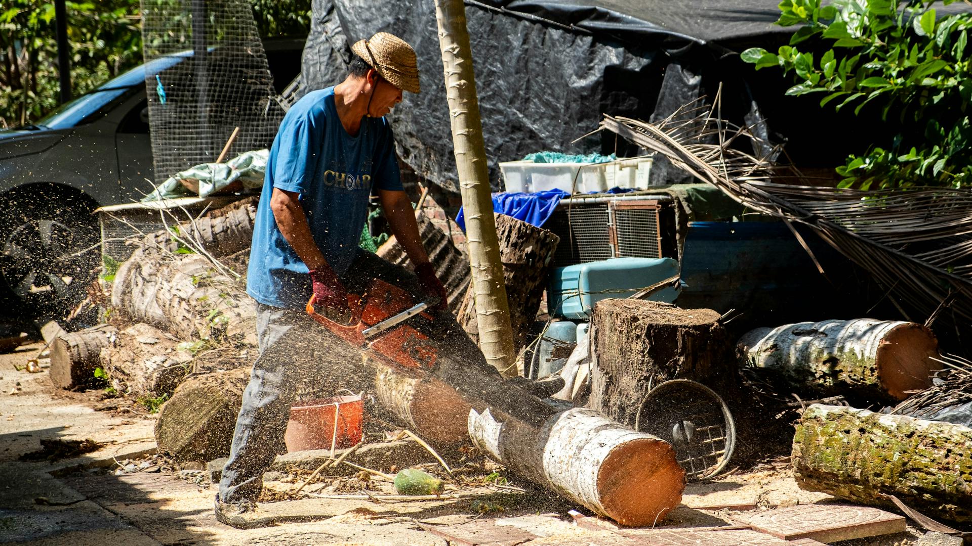 A lumberjack in a straw hat cuts logs with a chainsaw, creating wood shavings outdoors.