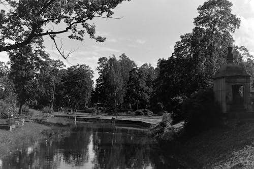 A black and white photo of a pond in the park