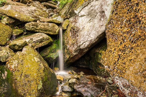 A waterfall flowing over rocks in a forest