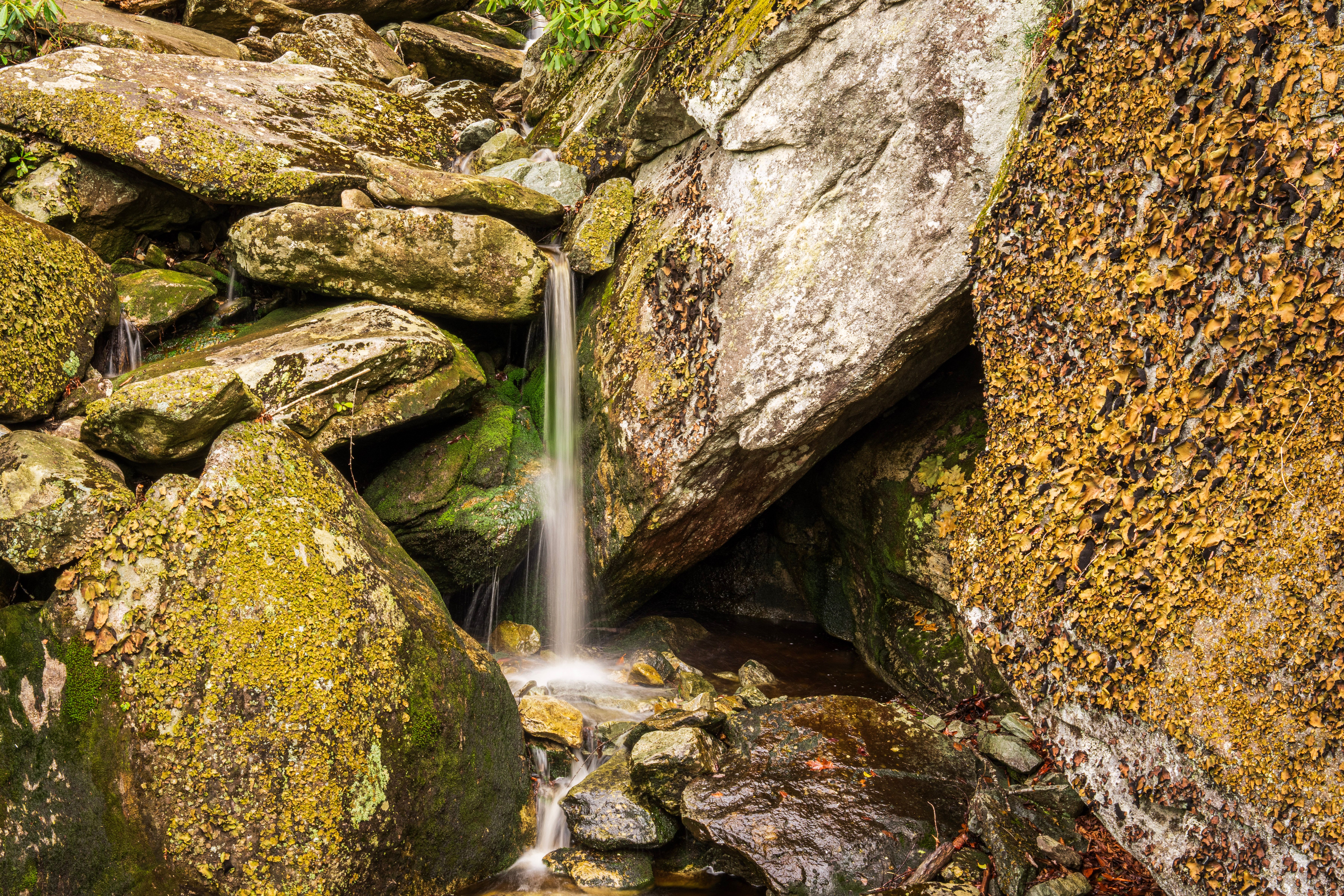 Closeup of a Stream Cascade in Rocks · Free Stock Photo