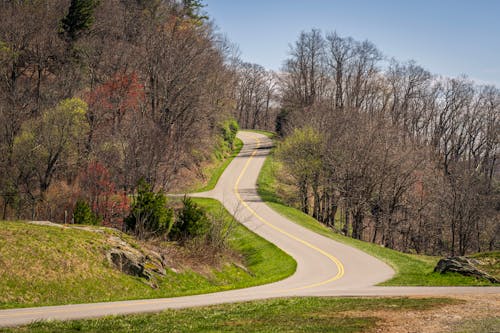 A curved road with trees on both sides