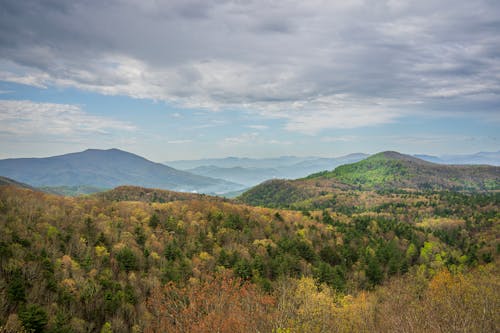 A view of the mountains and trees from a hill