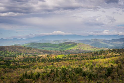 A view of the mountains and trees from a hill