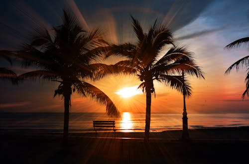 Ilmainen kuvapankkikuva tunnisteilla aamu, auringonlasku, auringonlaskun ranta Kuvapankkikuva