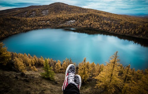 Paio Di Scarpe Vans Grigio Rosa Bianche