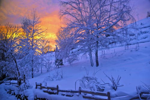 コールド, 冬, 夕暮れの無料の写真素材