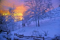 冬日景象宁静，树木披着白雪，日出的天空充满活力，洒下温暖的色彩