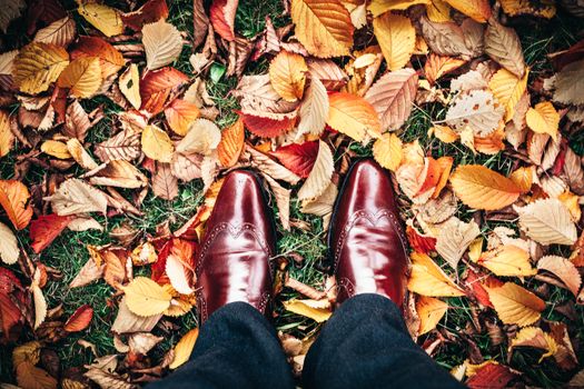 Stylish leather shoes stepping on vibrant autumn leaves, capturing the essence of fall season.