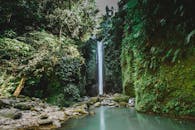 郁郁葱葱的热带丛林中，一个宁静的瀑布非常适合自然和旅游爱好者