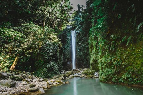 Free Discover a tranquil waterfall amidst a lush tropical jungle, perfect for nature and travel enthusiasts. Stock Photo