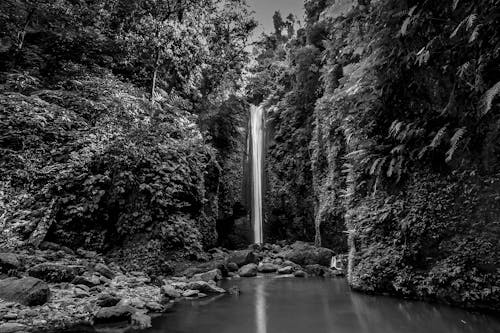 Grijswaardenfotografie Van Water Falls