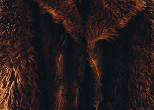 Gratis Mantel Bulu Coklat Foto Stok