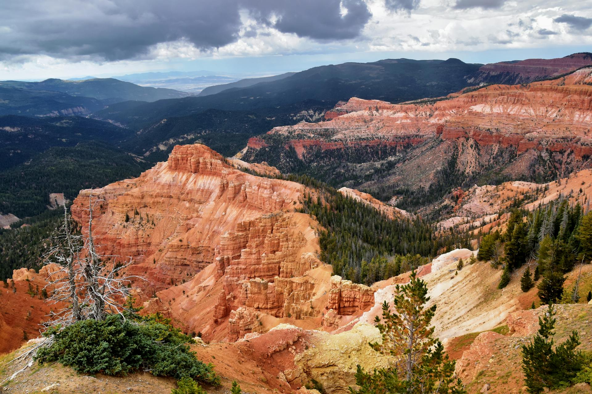 Cedar Breaks National Monument near Cedar City, Utah, USA