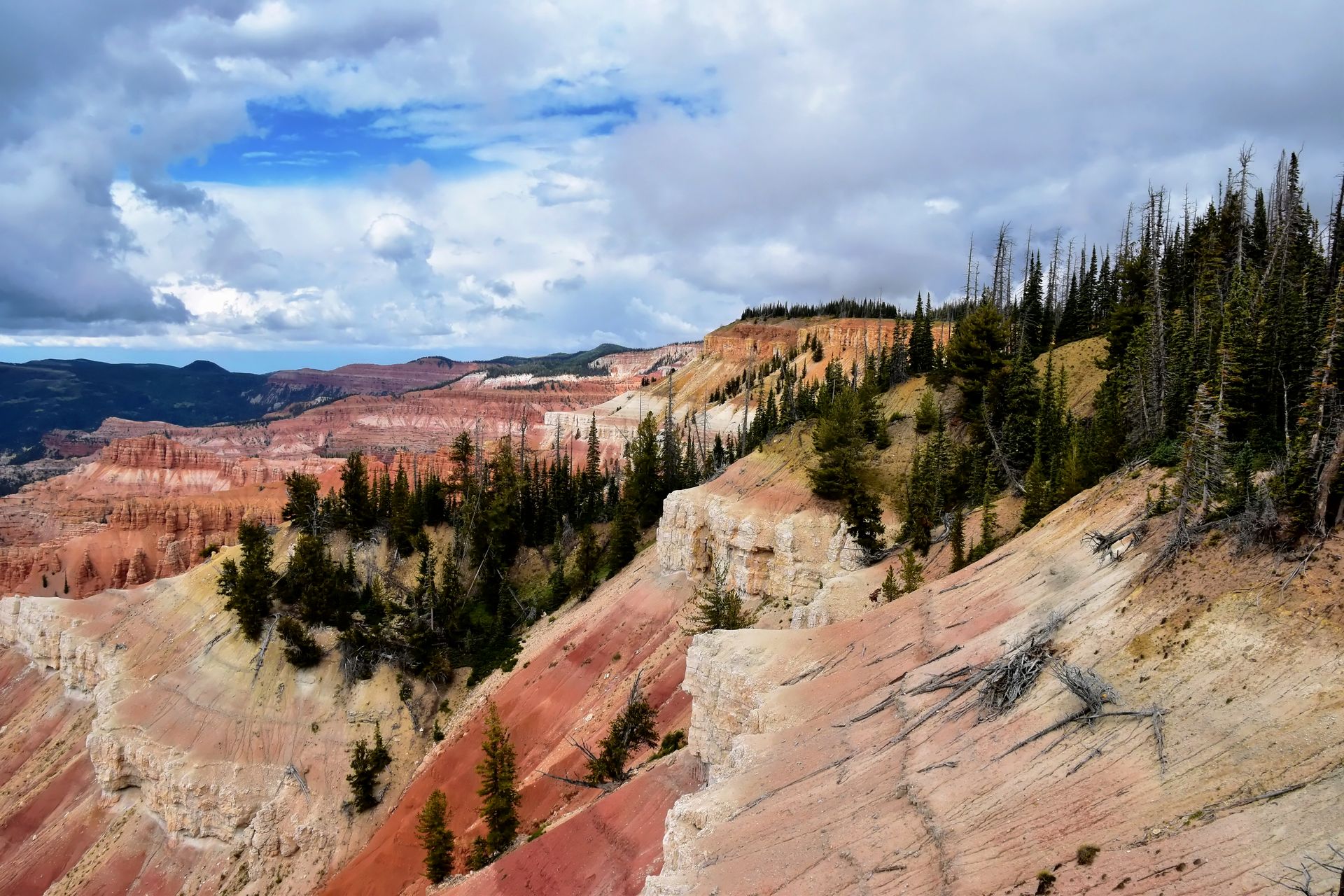 Cedar Breaks National Monument near Cedar City, Utah, USA