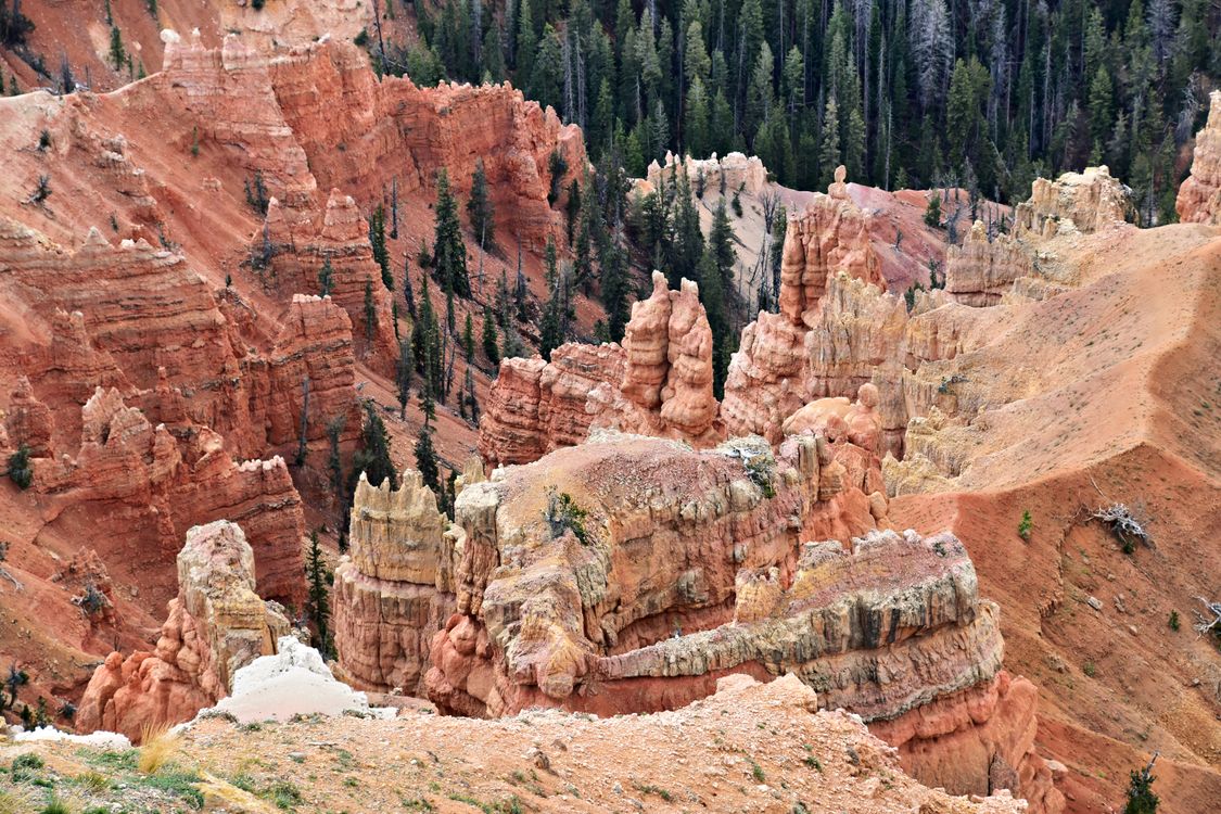 Red Cedar Rocks Cedar Breaks National Monument near Cedar City, Utah, USA · Free Stock ...
