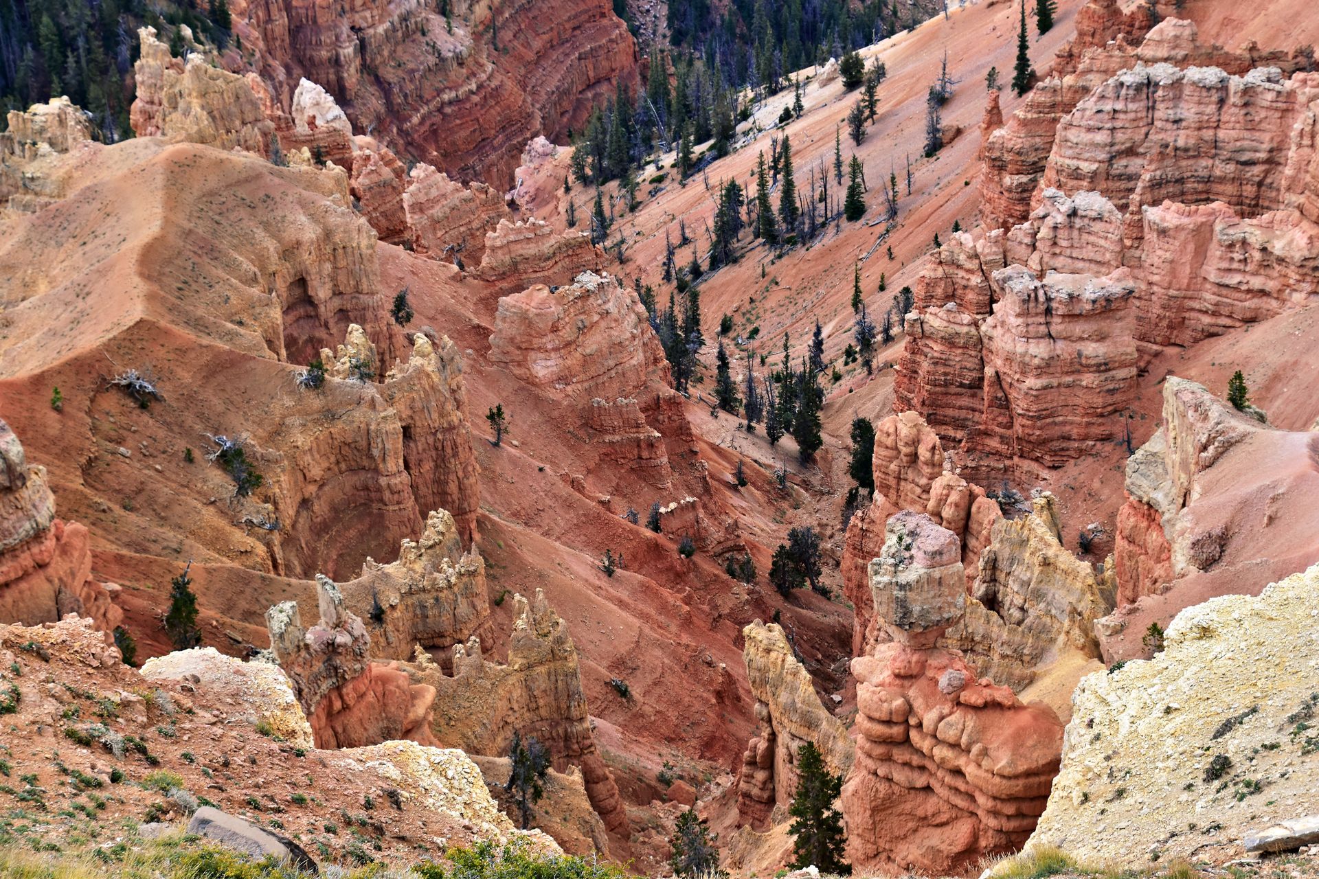 Explore breathtaking red rock formations and canyon landscapes at Brian Head, Utah.