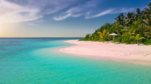Tropical Zanzibar Beach