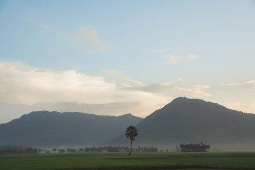 Free A beautiful panoramic view of hills and fields during a tranquil sunset. Perfect for nature lovers. Stock Photo
