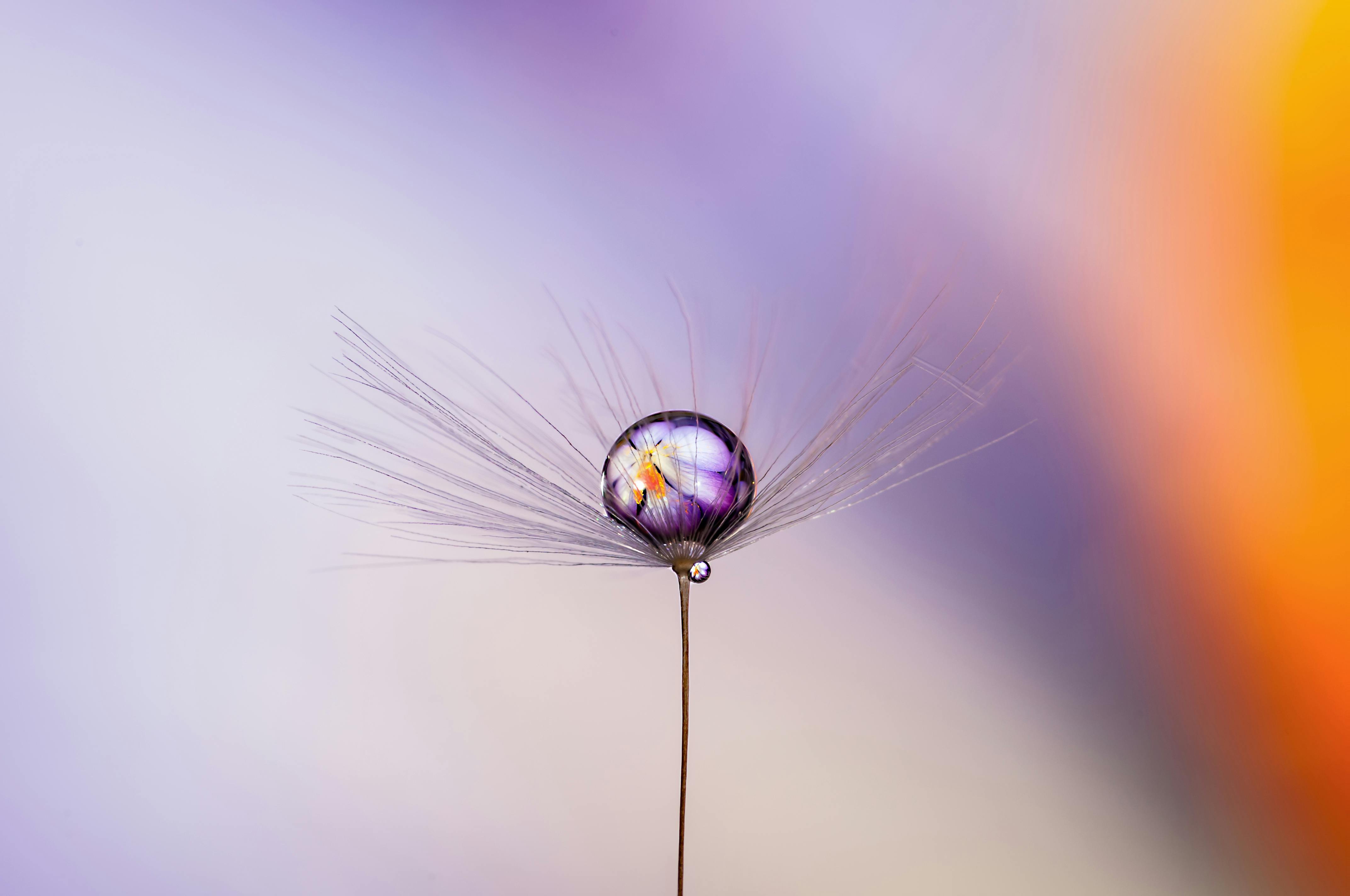 Rebalance leads pre seed round in travel gear brand NORI — Photo by Mario Jr Nicorelli on Pexels