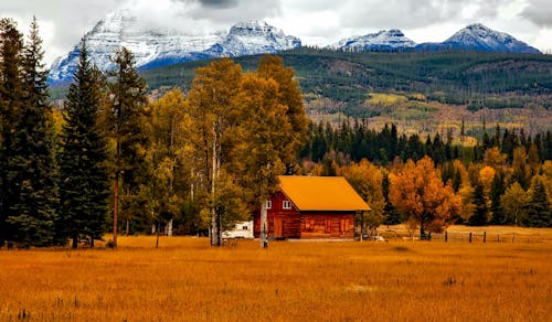Free Brown Cabin Near Trees and Mountains Stock Photo