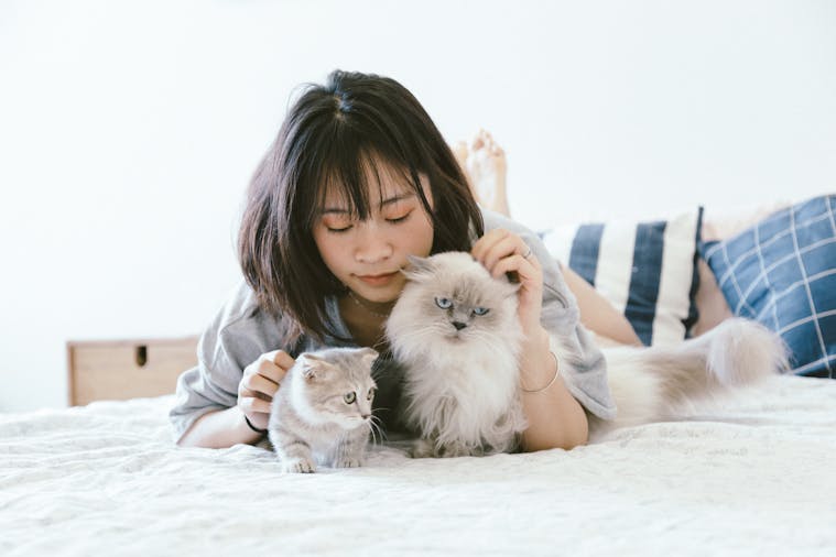 Young Asian woman relaxing on a bed with two fluffy cats in a cozy bedroom.