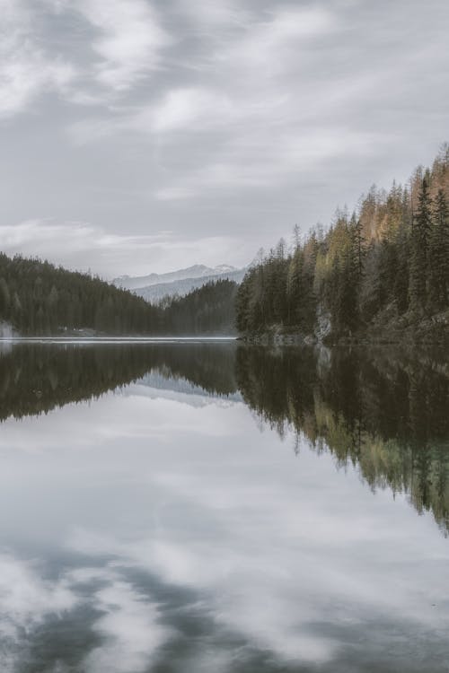 無料 木々に囲まれた静かな湖の写真 写真素材