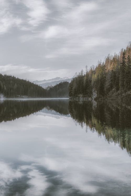 Foto Danau Tenang Dikelilingi Pepohonan