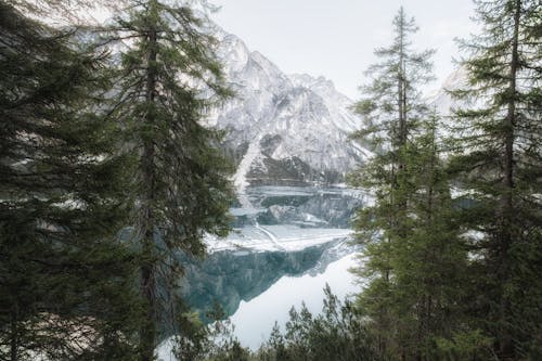 Foto d'estoc gratuïta de a l'aire lliure, aigua, arbres