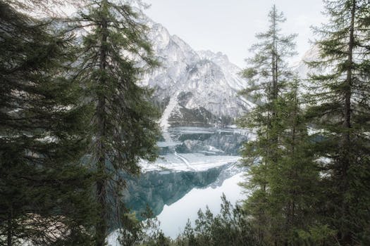 一个宁静的冬季场景：高山湖泊被白雪覆盖的树木和雄伟的山峰环绕