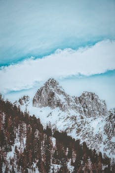 在晴朗的蓝天下，白雪覆盖的山峰与周围的森林构成壮丽景色