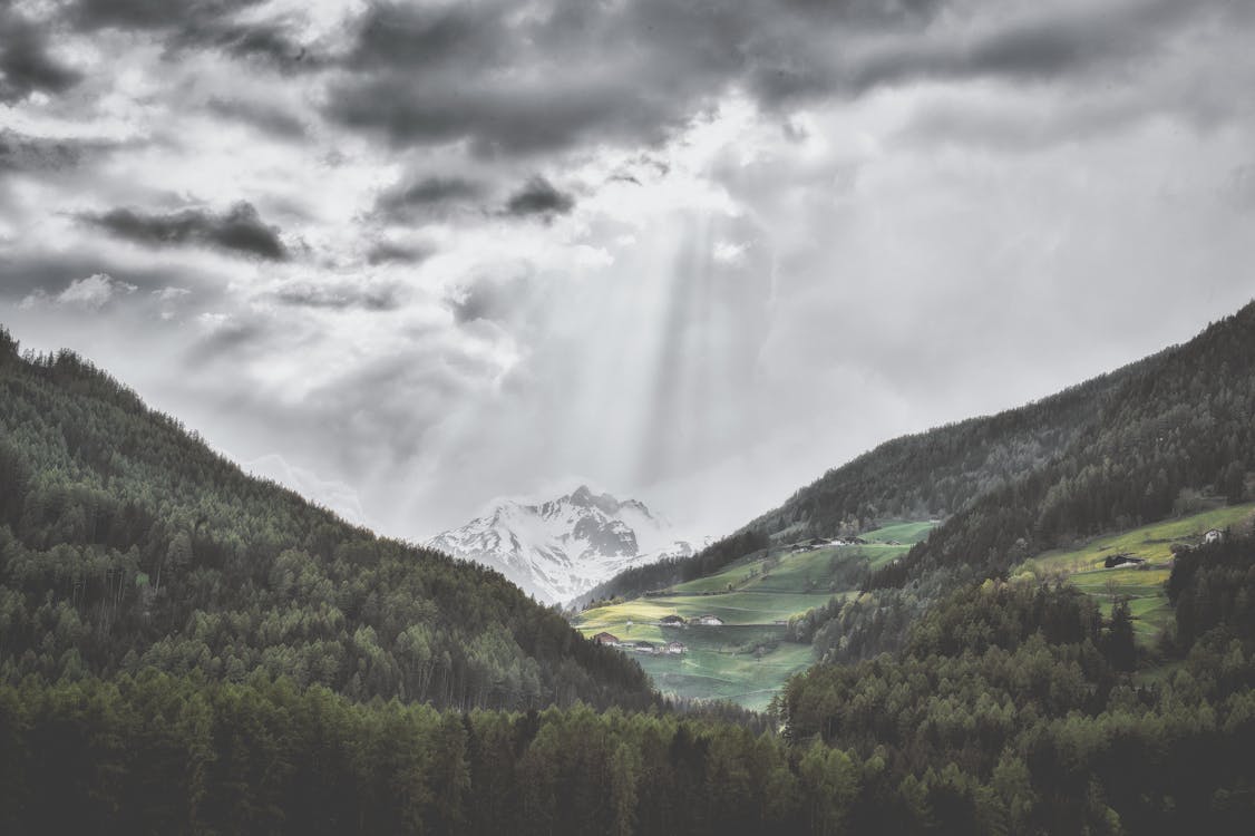 Landschaftsfoto Von Grünen Bäumen Und Bergen