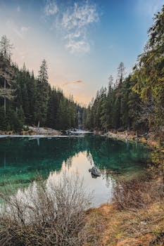 黄昏时分，树木倒映在美丽宁静的森林湖泊中