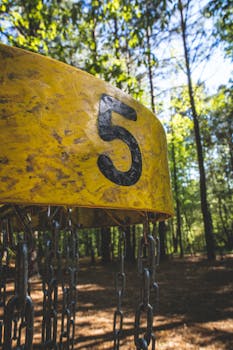 Close-up of a yellow disc golf basket numbered five in a sunlit forest setting. by Abstrakt  Xxcellence Studios